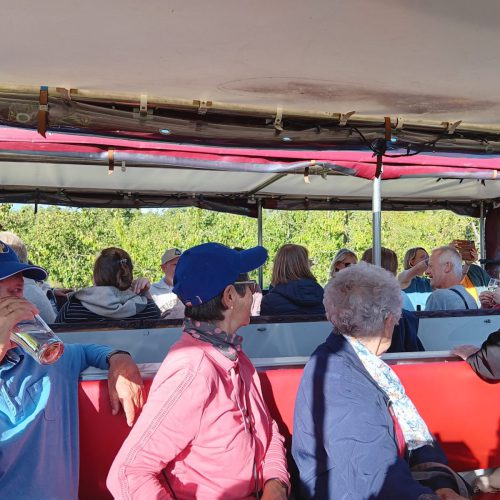 WhatsApp-Image-2025-09-12-at-21.03.08-1