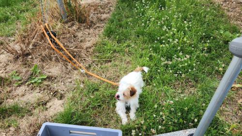 Weinwanderung Frey 5