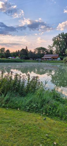 HCV Sommerfest 2024 10