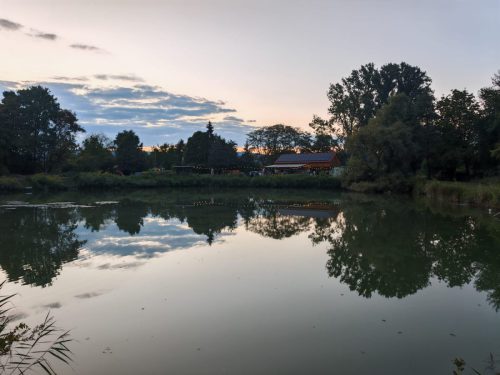 WhatsApp-Image-2025-08-27-at-16.00.49-2