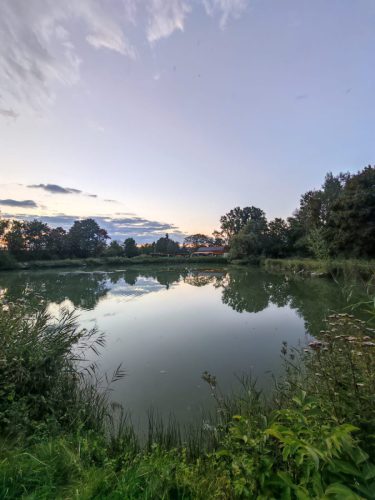 WhatsApp-Image-2025-08-27-at-16.00.50-1