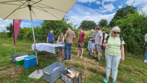 Weinwanderung Frey 3