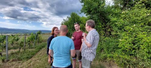 Weinwanderung Kerstin 4